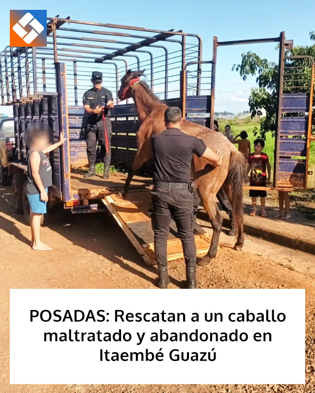 POSADAS: Rescatan a un caballo maltratado y abandonado en Itaembé Guazú