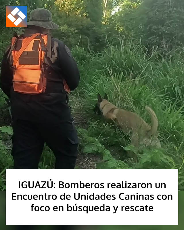 IGUAZÚ: Bomberos realizaron un Encuentro de Unidades Caninas con foco en búsqueda y rescate