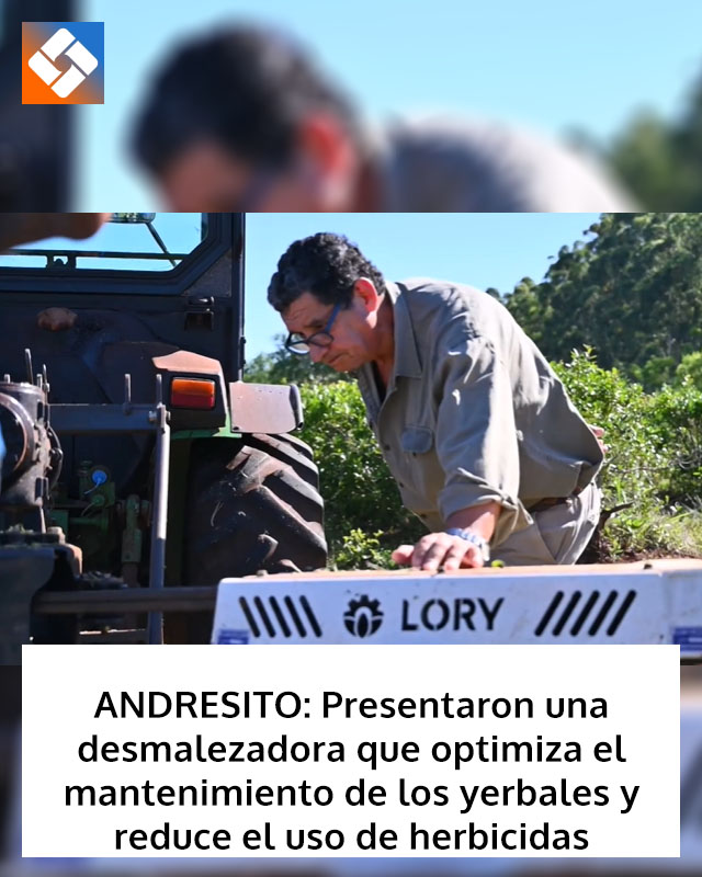 ANDRESITO: Presentaron una desmalezadora que optimiza el mantenimiento de los yerbales y reduce el uso de herbicidas