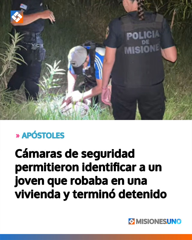 Cámaras de seguridad permitieron identificar a un joven que robaba en una vivienda y terminó detenido