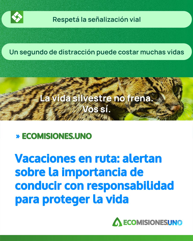 Vacaciones en ruta: alertan sobre la importancia de conducir con responsabilidad para proteger la vida