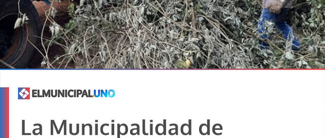 La Municipalidad de Andresito realiza trabajos de poda y recolección de residuos en el barrio Quintas Bajas