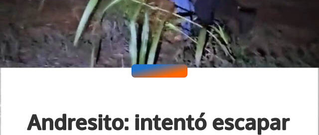 Andresito: intentó escapar de un control, chocó y descubrieron que manejaba una camioneta robada